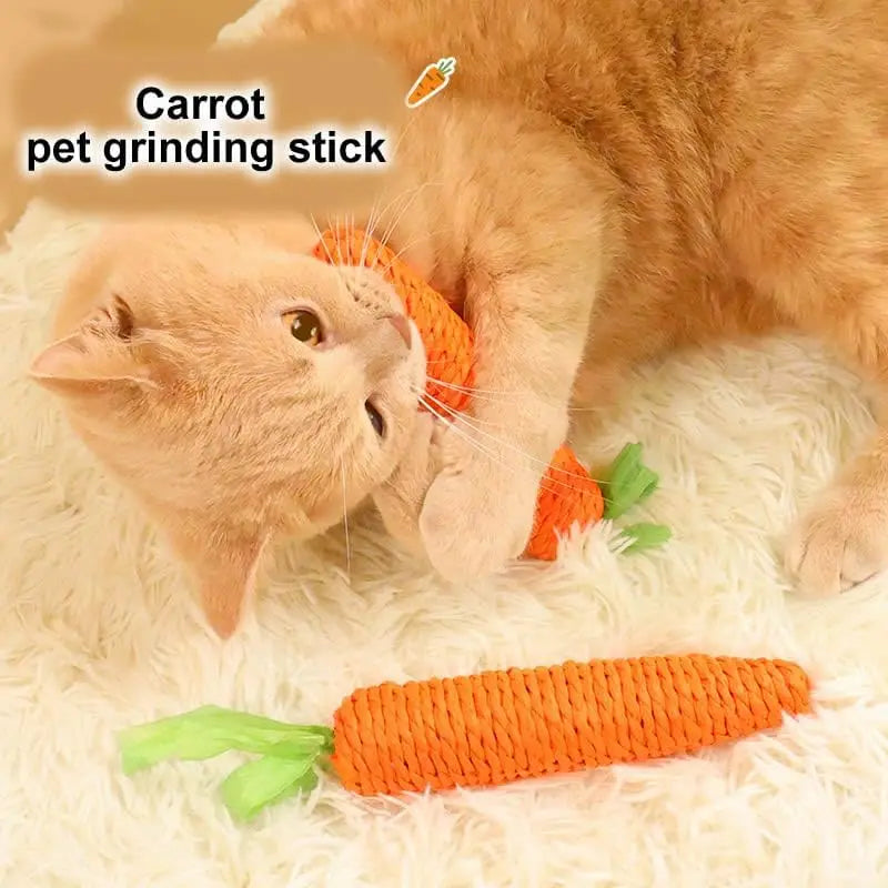 Mini Jouet Interactif pour Chat