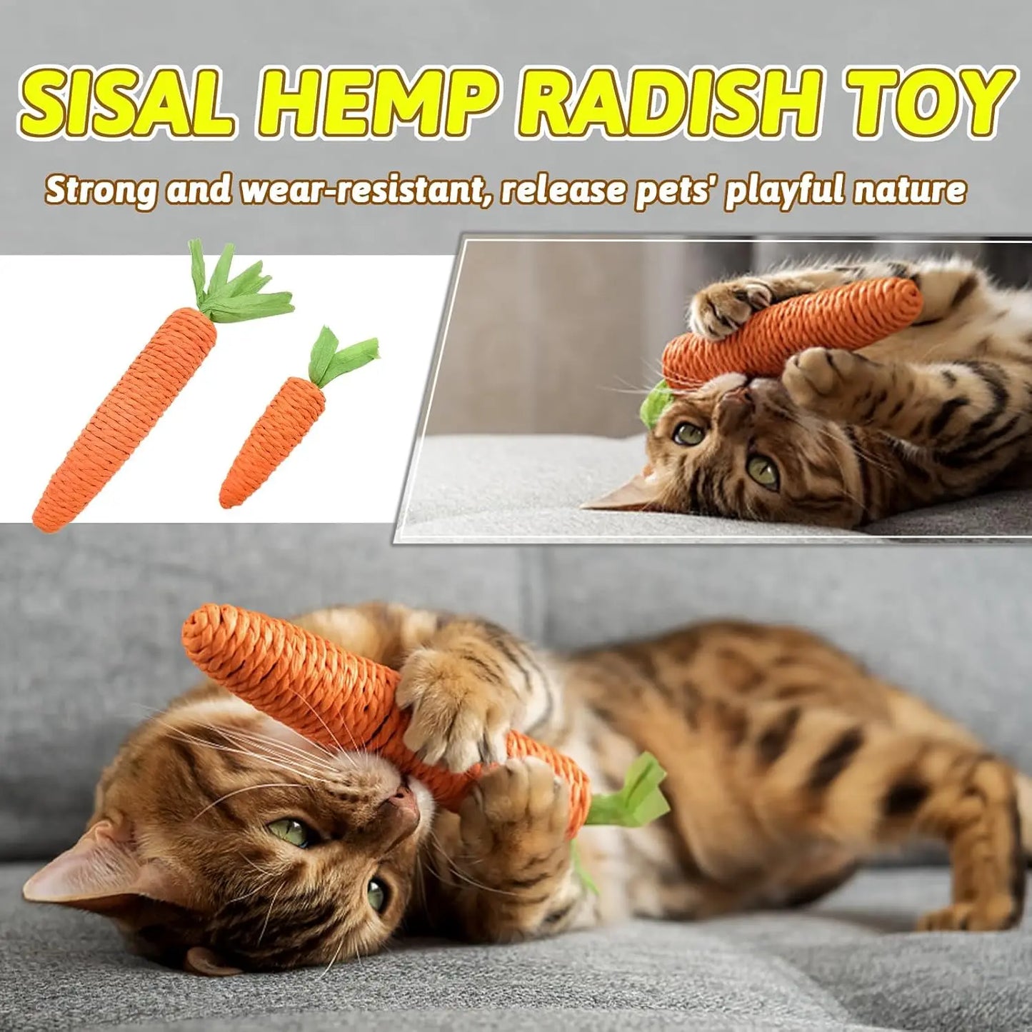 Mini Jouet Interactif pour Chat