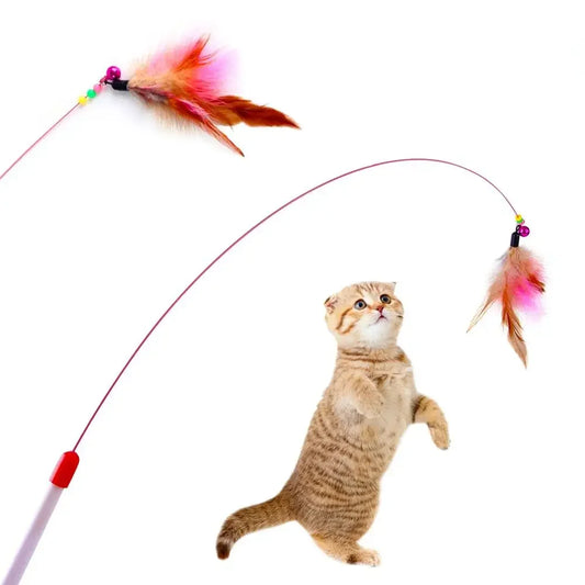 Jeux Chat